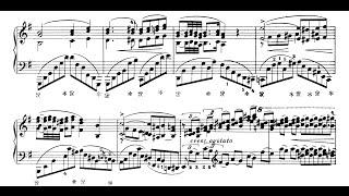 Liszt Reminiscences de Norma Tozer [upl. by Atinot]