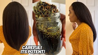 The Most Powerful Hair Growth Oil  Caution‼️It’s Super Potent [upl. by Monia]