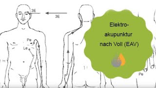 Elektroakupunktur nach Voll EAV  Dr med Ralf Oettmeier und Dr med Wolfgang Scheel [upl. by Amer]