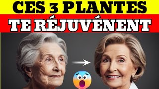 CES 3 PLANTES TE RÉJUVÉNENT [upl. by Hoffert]