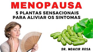 Menopausa 5 Plantas Sensacionais para Aliviar os Sintomas  Dr Moacir Rosa [upl. by Ahseal]