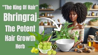 Bhringraj  The Best Hair Growth Remedy [upl. by Kwok]