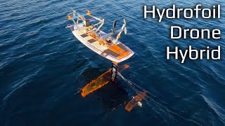 Drone Motors on a Hydrofoil Surfboard [upl. by Everest]