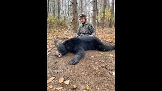 Pennsylvania Bear w 1966 Bear Recurve [upl. by Nilyarg]