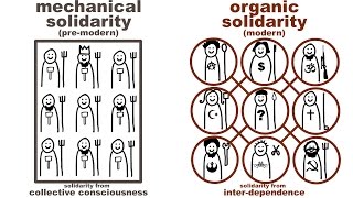 Durkheims Mechanical and Organic Solidarity what holds society together [upl. by Mun33]