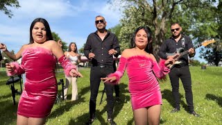 Gipsy Mekenzi Pode Mange Tijro Vastoro🕺🏼💃 VIDEO KLIP 4K Cover Simple Band 2024 [upl. by Desdemona]