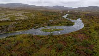 The Kongsfjord river  Visit Varanger  Greater Arctic Moment [upl. by Yrkcaz104]