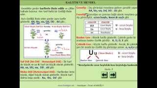 KALITIM  MENDEL VE ÇAPRAZLAMALAR BASKIN GEN ÇEKİNİK GEN  FEN BİLİMLERİ 8 SINIF KONU ANLATIMI [upl. by Adniuqal718]