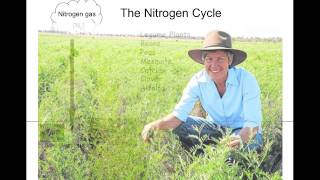 Nitrogen Cycle [upl. by Cybill]