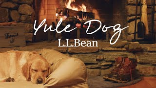 LLBean Yule Dog  1 Hour 4K Real Burning Fireplace  Cozy Holiday Background Vibes [upl. by Adnuhsor424]