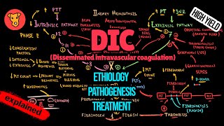 DISSEMINATED INTRAVASCULAR COAGULATION DIC Pathogenesis Mechanism of clinical symptoms Treatment [upl. by Aehcim]