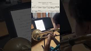 GP Telemann Oboe Concerto in C minor TWV 51  c1 [upl. by Ryle]