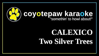 Calexico  Two Silver Trees KARAOKE [upl. by Wieren]