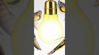 The Science Behind Moths Hovering Over Lights [upl. by Maximilian]