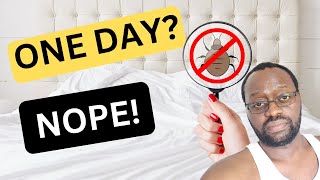 Why You Cant Get Rid Of Bed Bugs In One Day [upl. by Billie648]