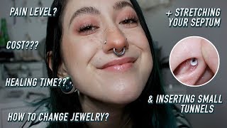 a 101 guide on septum piercings [upl. by Arze]