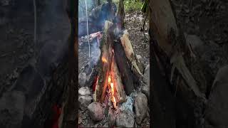 bushcraft build camp camping survival shelter wildlife skills lifehacks forest [upl. by Eveline956]