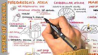 Cerebellar Ataxia  Friedreich ataxia  Maries ataxia  and Sensory ataxia [upl. by Abrahan739]