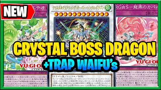 New YuGiOh Cards 2024  Crystrons Speedroids Trap Waifu Bootleg Crystal Beast Archetype ARGS [upl. by Lecroy]