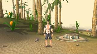 Wish You Were In RuneScape competition example [upl. by Ycnaffit]