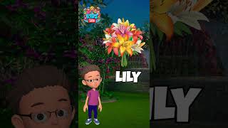 Flower Names Learning video with Jolly Part 2  Pre K Educational Videos  thekidsshowenglish [upl. by Aryam]