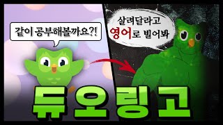 듀오링고는 대체 어쩌다 이런 이미지가 되었는가 [upl. by Caterina]