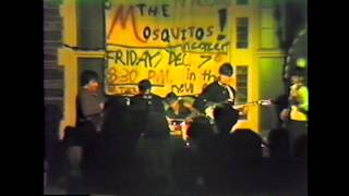 The Mosquitos NYC  Live at Columbia High School December 7 1984 [upl. by Chafee]