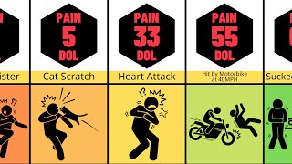 Comparison Human Pain [upl. by Assen723]