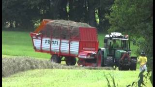 Urlaub auf dem Bauernhof Ein Erlebnistag auf dem Schorer Hof [upl. by Levitt262]