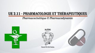 UE 211 S1  Pharmacocinétique et Pharmacodynamie [upl. by Ahcirt303]