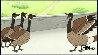 Regular Show  Terrorizing Geese [upl. by Ahcsatan]