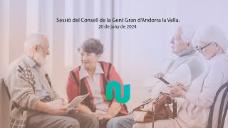 Sessió del Consell de la Gent Gran dAndorra la Vella [upl. by Ursa]