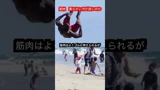 【武道・格闘技】柔らかい筋肉の方が良いっていうのは本当か！？ aikido ＃karate martial 武道 ＃空手＃合気道＃筋トレselfdefens [upl. by Enriqueta]