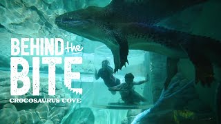 Behind the Bite The Cage of Death at Crocosaurus Cove [upl. by Saalocin572]