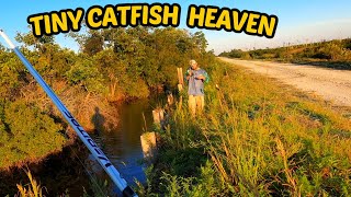 This Canal was Loaded with Bullhead CATFISH [upl. by Nelly]