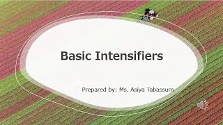 Basic Intensifiers [upl. by Silda]