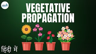 Reproduction  Lesson 13  Vegetative Propagation Introduction  in Hindi हिंदी में [upl. by Staffard]