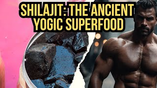 Shilajit The Ancient Yogic Superfood that Rebuilds Your Body [upl. by Aicat]