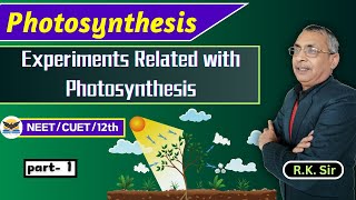 Photosynthesis  Experiment [upl. by Enaitsirk]