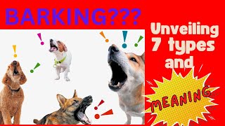 Demystifying Barking Unraveling the Meanings Behind 7 Types [upl. by Holna]