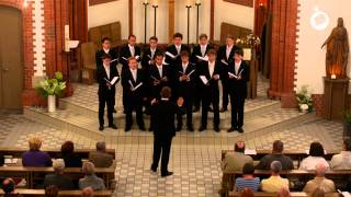 Heilig Franz Schubert  canta delysio [upl. by Grove541]