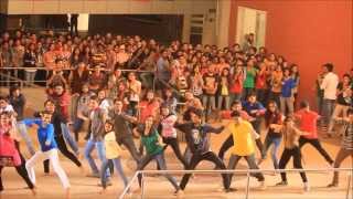 FLASHMOB 2014  VERVE 14 OVERHEAT [upl. by Hendon]