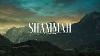 PRAYING INSTRUMENTAL  SHAMMAH By Joel Tay [upl. by Naesed37]