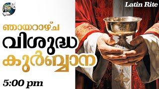 Sunday Holy Mass  500 PM  Malayalam  November 24 [upl. by Ellekram]