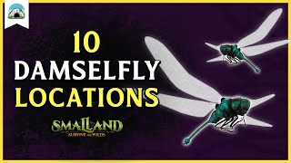 10 Damselfly Locations – Where to find Damselflies  Smalland [upl. by Beitnes297]