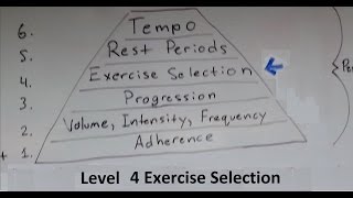 Muscle and Strength Training Pyramid Level 4 Exercise Selection [upl. by Atnima]