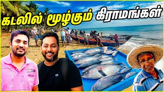 இலங்கை காரைதீவு மீனவர்களின் அவல நிலை  The plight of Karaitivu fishermen tamilvlog [upl. by Idyh]