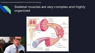 Physiology Lecture 08 Excitable Tissues [upl. by Laughlin]