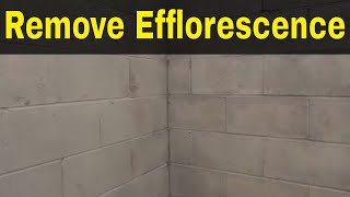 How To Remove Efflorescence EasilyFull Tutorial [upl. by Anaele]