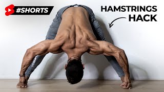 How To Stretch Your Hamstrings The RIGHT Way [upl. by Siraf]